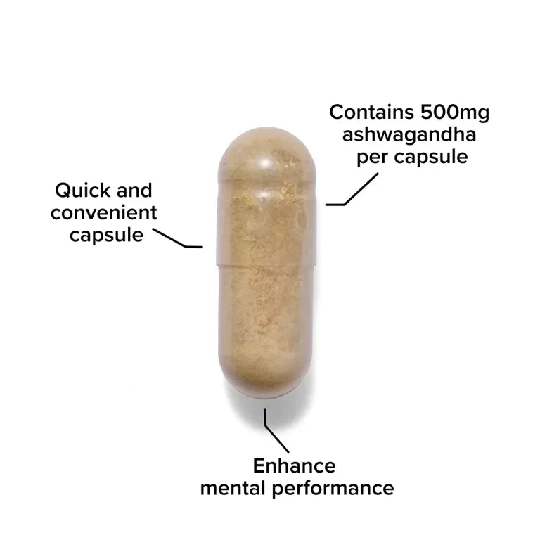 Ashwagandha capsule with 500mg per dose for mental performance, quick and convenient supplement